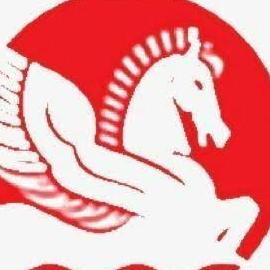 Singhal Industries